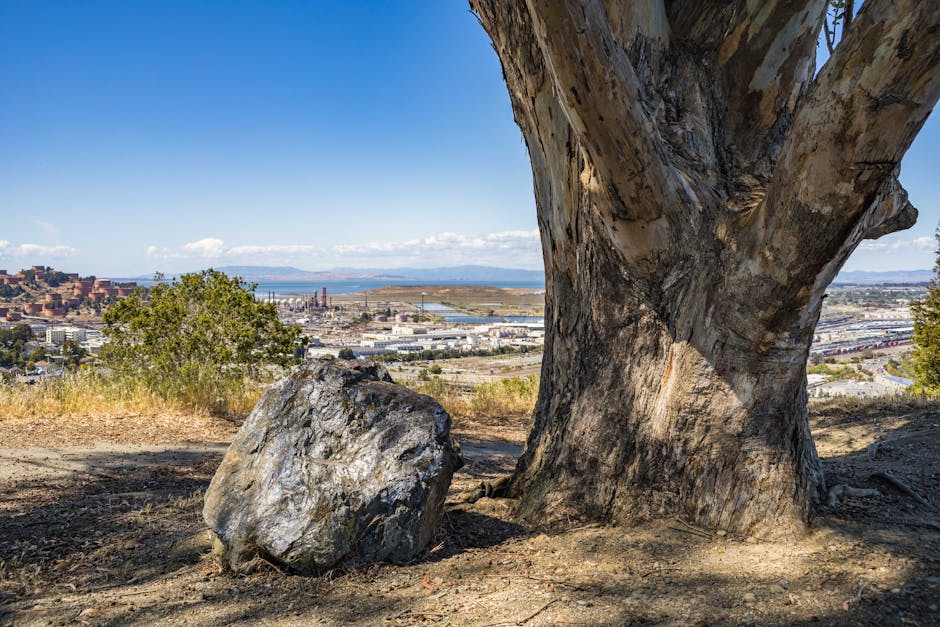 Vallejo, CA — local perspective.